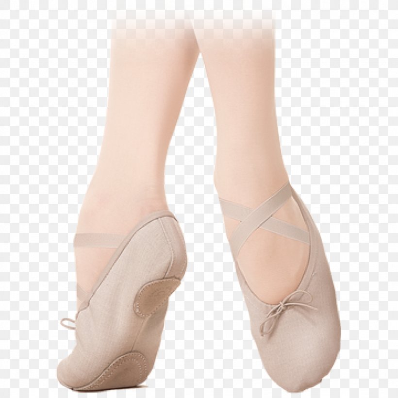 Ballet Flat Toe High-heeled Shoe Sandal, PNG, 1024x1024px, Watercolor, Cartoon, Flower, Frame, Heart Download Free