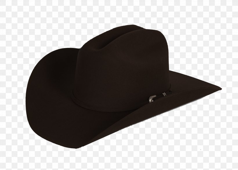 Cowboy Hat Resistol Stetson Straw Hat, PNG, 3376x2412px, Hat, Black, Clothing, Cowboy, Cowboy Hat Download Free