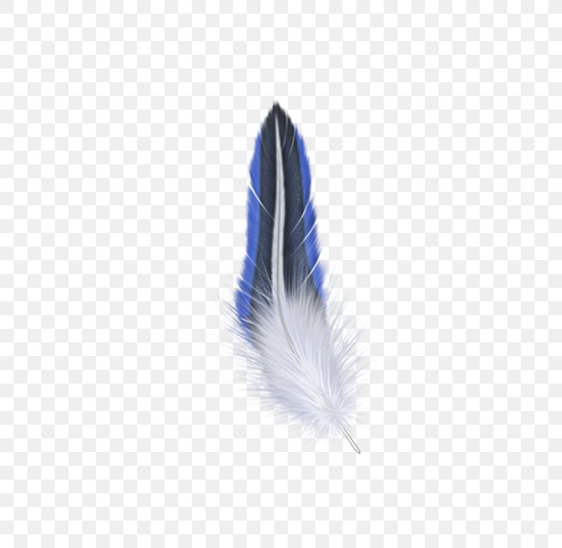 Feather Tapestry Wall Mug Ounce, PNG, 800x800px, Feather, Blue, Mug, Ounce, Tapestry Download Free