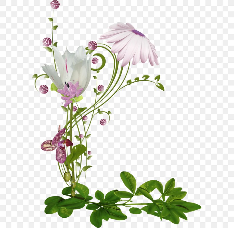 Flower Floral Design Clip Art, PNG, 593x800px, Flower, Blog, Branch, Cut Flowers, Flora Download Free