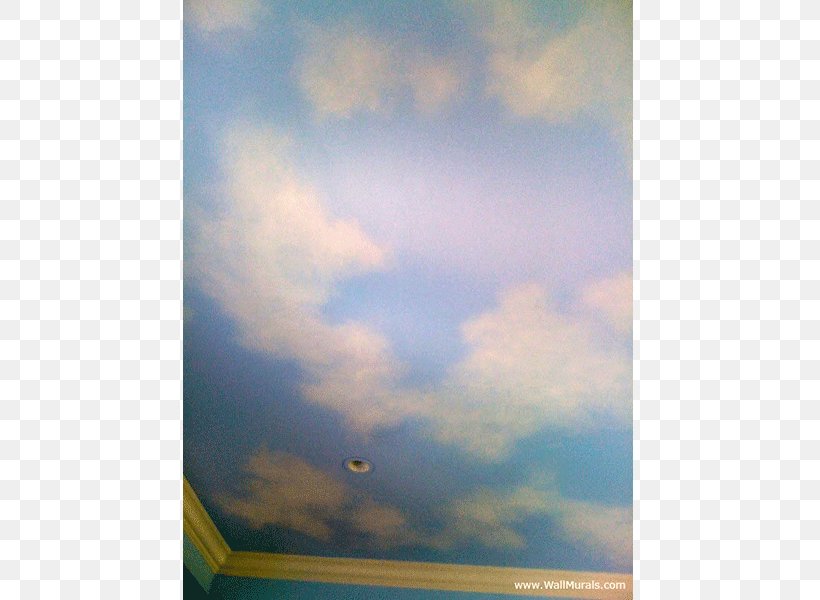 Wall Painted Ceiling Painting, PNG, 800x600px, Wall, Atmosphere, Basement, Bathroom, Bedroom Download Free