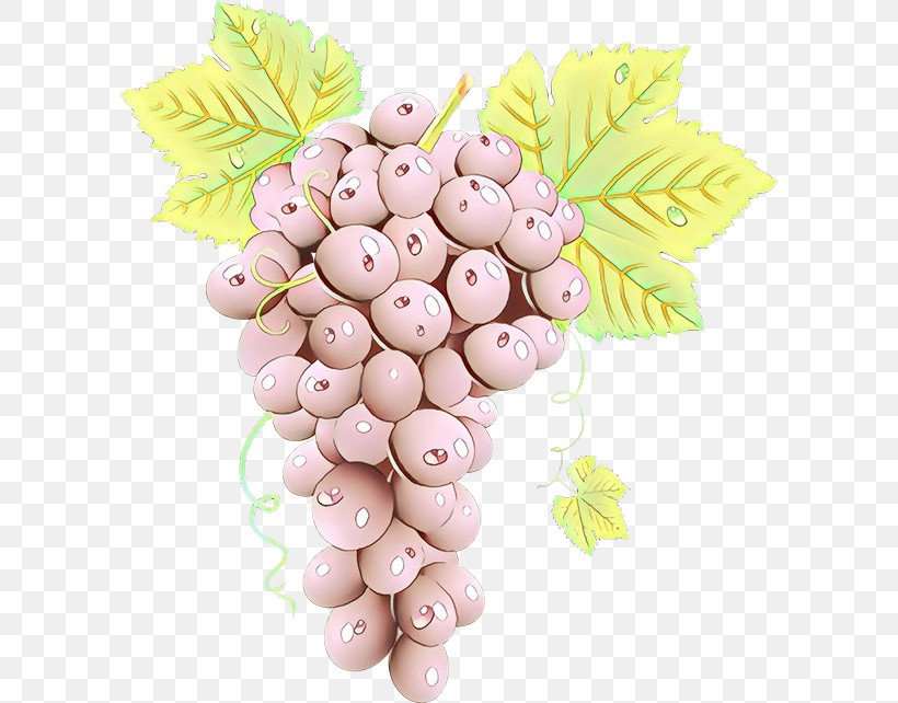 Grape Grapevine Family Pink Vitis Food, PNG, 600x642px, Grape, Food, Fruit, Grapevine Family, Pink Download Free