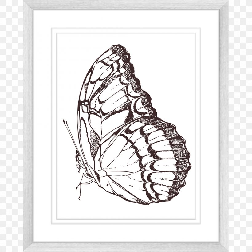 Butterfly Visual Arts Innovate Interiors Drawing, PNG, 1000x1000px, Butterfly, Art, Artwork, Black And White, Brush Footed Butterfly Download Free