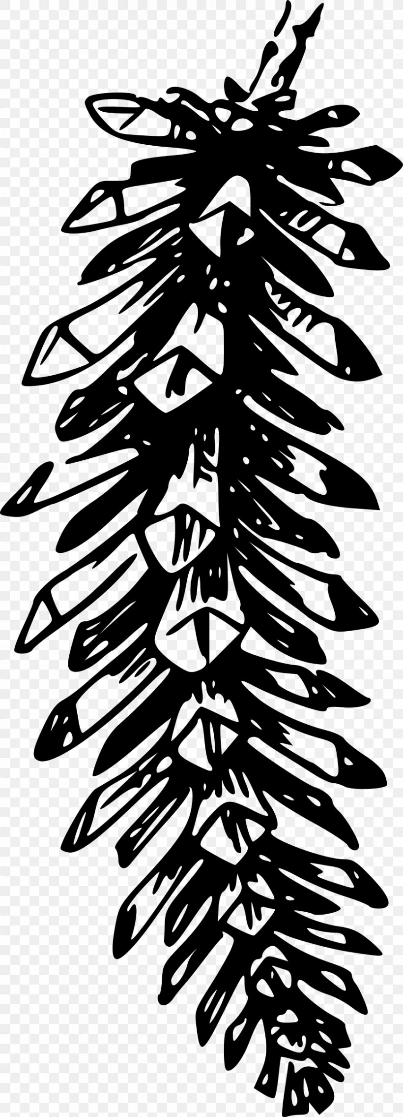 Conifer Cone Pine Conifers Clip Art, PNG, 867x2400px, Conifer Cone, Black And White, Branch, Cedar, Cone Download Free