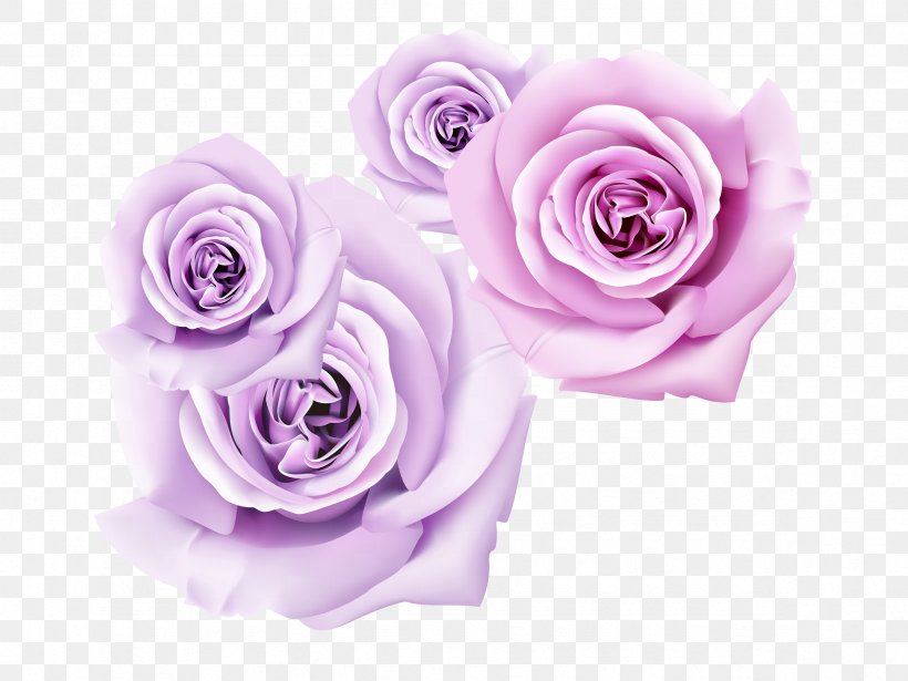 Garden Roses 3D Film Flower Wallpaper, PNG, 2362x1772px, 3d Film, Garden Roses, Cut Flowers, Floral Design, Floristry Download Free