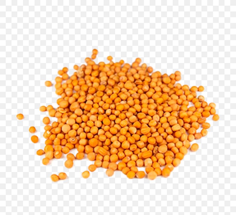 Mustard Seed Mustard Plant Stock Photography, PNG, 750x750px, Mustard, Bean, Commodity, Condiment, Depositphotos Download Free