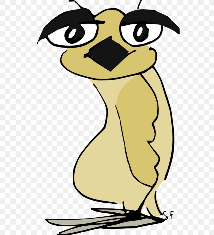 Owl Beak Clip Art, PNG, 627x900px, Owl, Artwork, Beak, Bird, Black And White Download Free