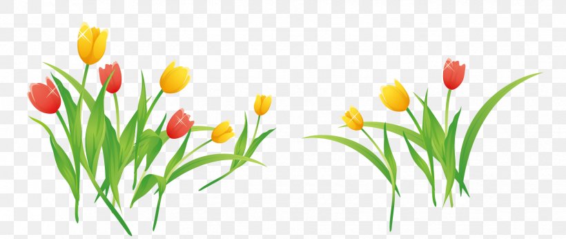 Tulip Flower Clip Art, PNG, 1732x732px, Tulip, Cut Flowers, Floral Design, Floristry, Flower Download Free