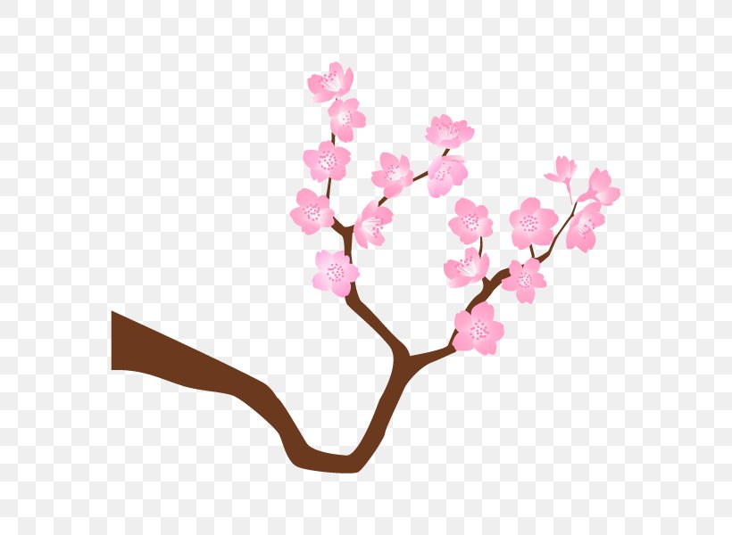 Cherry Blossom ST.AU.150 MIN.V.UNC.NR AD Clip Art Floral Design, PNG, 600x600px, Cherry Blossom, Blossom, Branch, Cherries, Floral Design Download Free