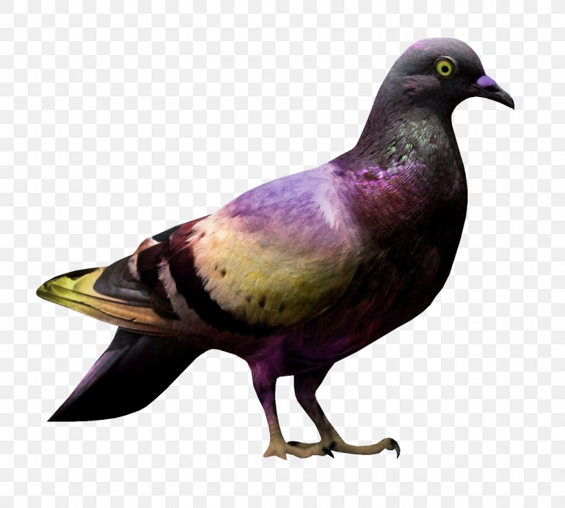 Domestic Pigeon Columbidae Bird Clip Art, PNG, 1280x1152px, Domestic Pigeon, Art, Beak, Bird, Bird Nest Download Free