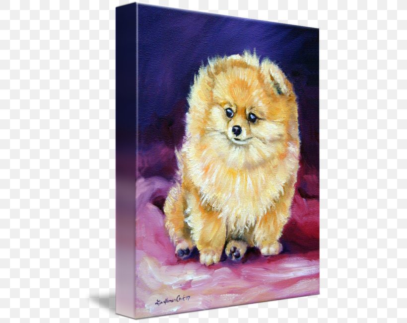 German Spitz Klein Pomeranian German Spitz Mittel Finnish Spitz Volpino, PNG, 480x650px, German Spitz Klein, Art, Canvas, Canvas Print, Carnivoran Download Free