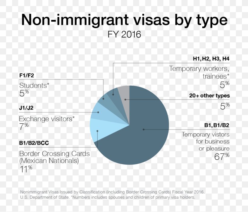 J-1 Visa Travel Visa F Visa B Visa Immigration, PNG, 800x701px, J1 Visa, Area, B Visa, Brand, Diagram Download Free