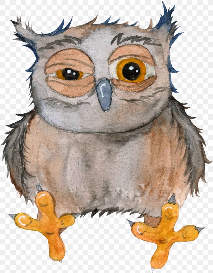 Owl Drawing Cartoon, PNG, 1033x1324px, Owl, Beak, Bird, Bird Of Prey, Cartoon Download Free