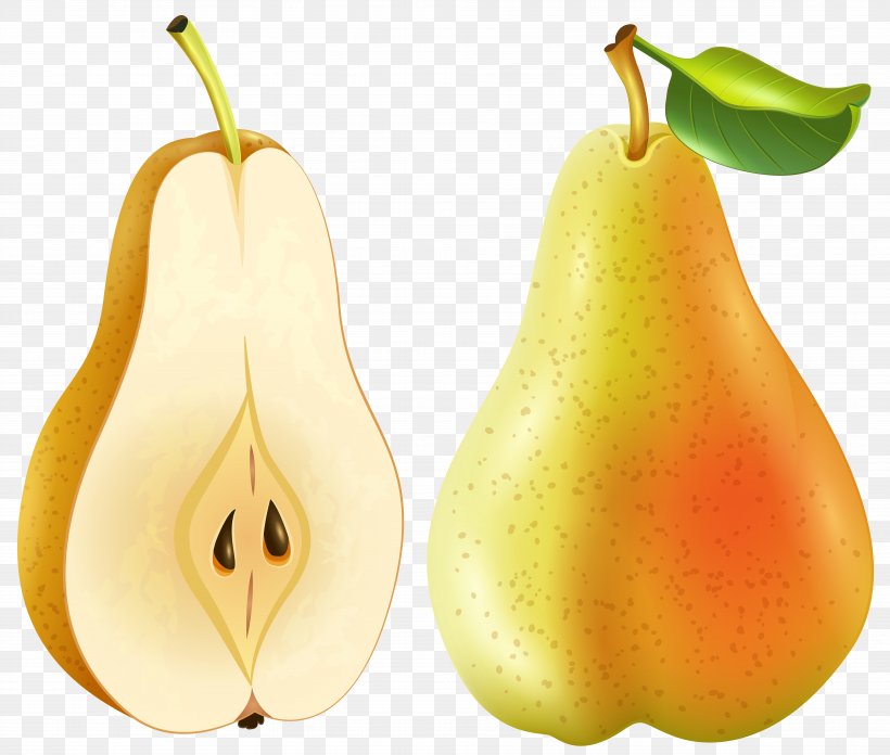 Pear Smoothie Clip Art, PNG, 7663x6505px, Pear, Accessory Fruit, Amygdaloideae, Apple, Apricot Download Free