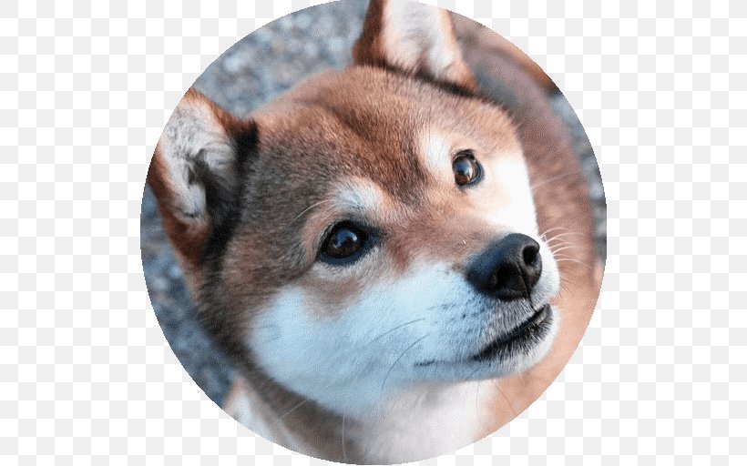 Shiba Inu American Akita Dog Breed Japan, PNG, 512x512px, Shiba Inu, Akita, Akita Inu, Alaskan Klee Kai, American Akita Download Free
