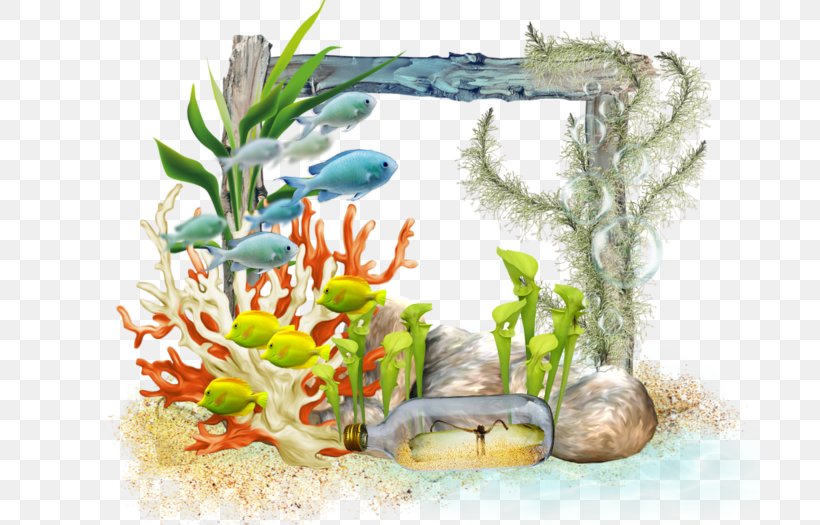 Aquarium Flower Aquatic Plants Illustration Fauna, PNG, 700x525px, Aquarium, Animal, Aquarium Decor, Aquatic Plant, Aquatic Plants Download Free