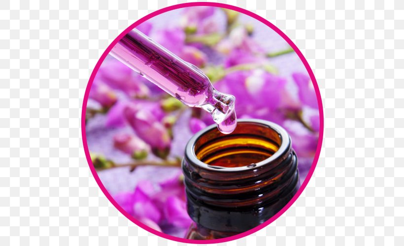 Bach Flower Remedies Naturopathy Alternative Health Services Therapy Psychosomatic Medicine, PNG, 500x500px, Bach Flower Remedies, Acupuncture, Alternative Health Services, Aromatherapy, Child Download Free