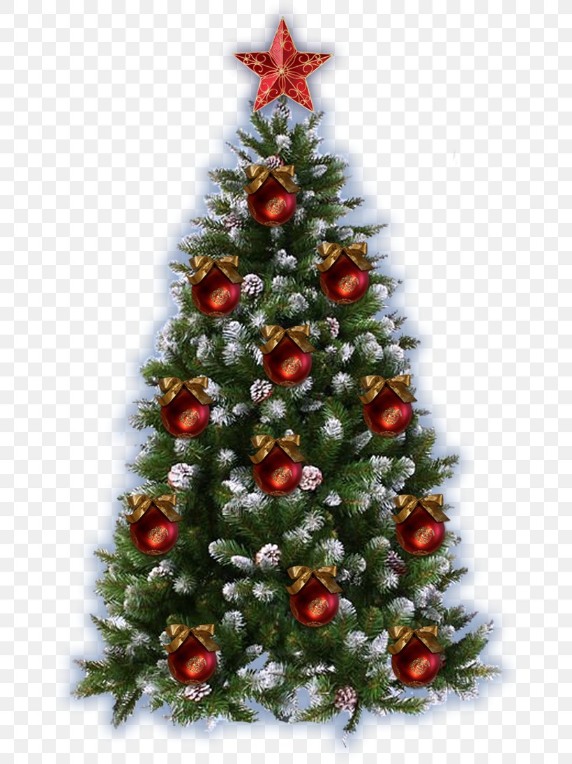 Christmas Tree Picture Frames Christmas Decoration, PNG, 670x1096px ...