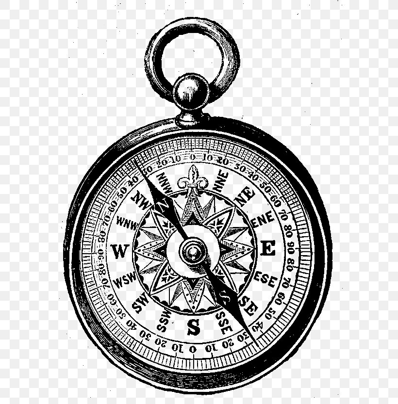 89805 Compass Drawing Images Stock Photos  Vectors  Shutterstock