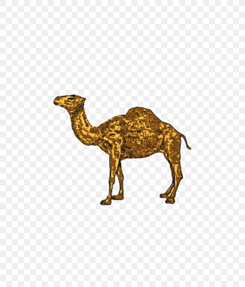 Dromedary Joe Camel Cigarette Bactrian Camel, PNG, 540x960px, Dromedary, Advertising, Animal Figure, Arabian Camel, Bactrian Camel Download Free