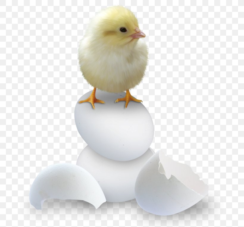 Easter Clip Art, PNG, 700x763px, Easter, Beak, Bird, Chicken, Easter Egg Download Free