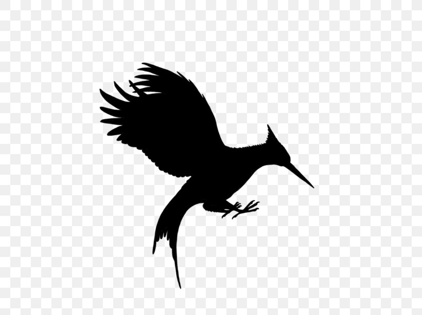 Mockingjay Catching Fire Katniss Everdeen Finnick Odair Peeta Mellark, PNG, 450x613px, Mockingjay, Beak, Bird, Bird Of Prey, Black And White Download Free