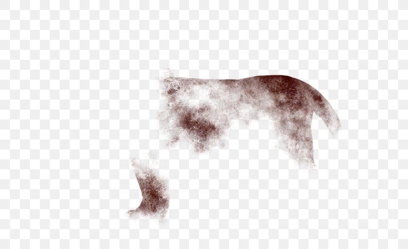 Siamese Cat Fur Canidae Dog Skin, PNG, 640x500px, Siamese Cat, Canidae, Carnivoran, Cream, Dog Download Free