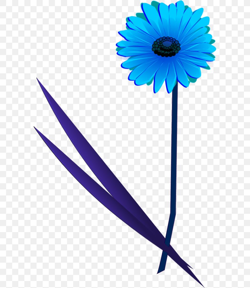 Transvaal Daisy Flower Clip Art, PNG, 600x943px, Transvaal Daisy, Blue, Color, Common Daisy, Cut Flowers Download Free