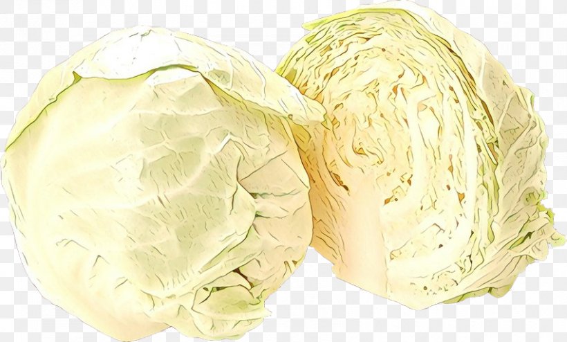 Cabbage Food Wild Cabbage Side Dish Iceburg Lettuce, PNG, 850x513px, Cabbage, Food, Iceburg Lettuce, Side Dish, Vegetable Download Free