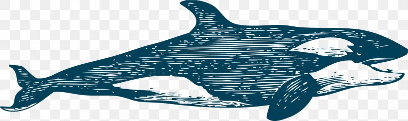 Common Bottlenose Dolphin Tucuxi Whale, PNG, 3370x1001px, Marine Mammal, Animal, Animal Figure, Beluga Whale, Blue Download Free