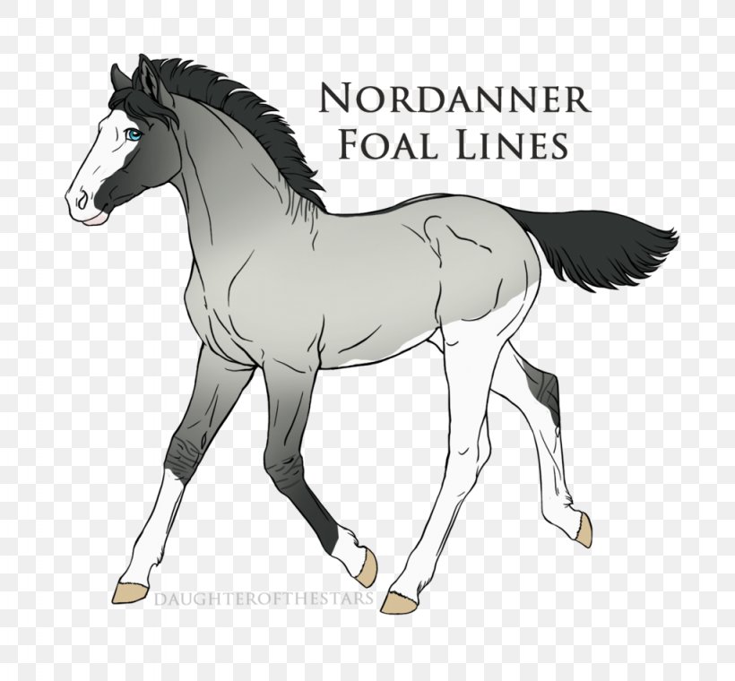 Foal Pony Stallion Colt Mare, PNG, 1024x950px, Foal, Art, Bridle, Colt, Deviantart Download Free