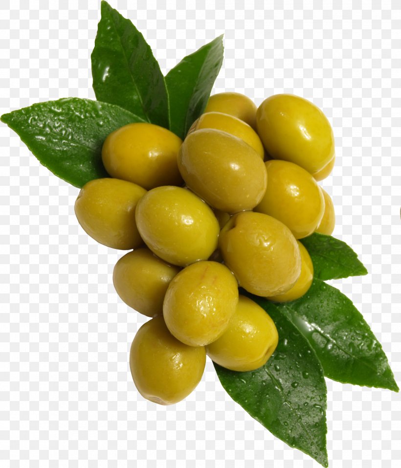 Olive Fruit, PNG, 1936x2260px, Olive, Calamondin, Citrus, Food, Fruit Download Free