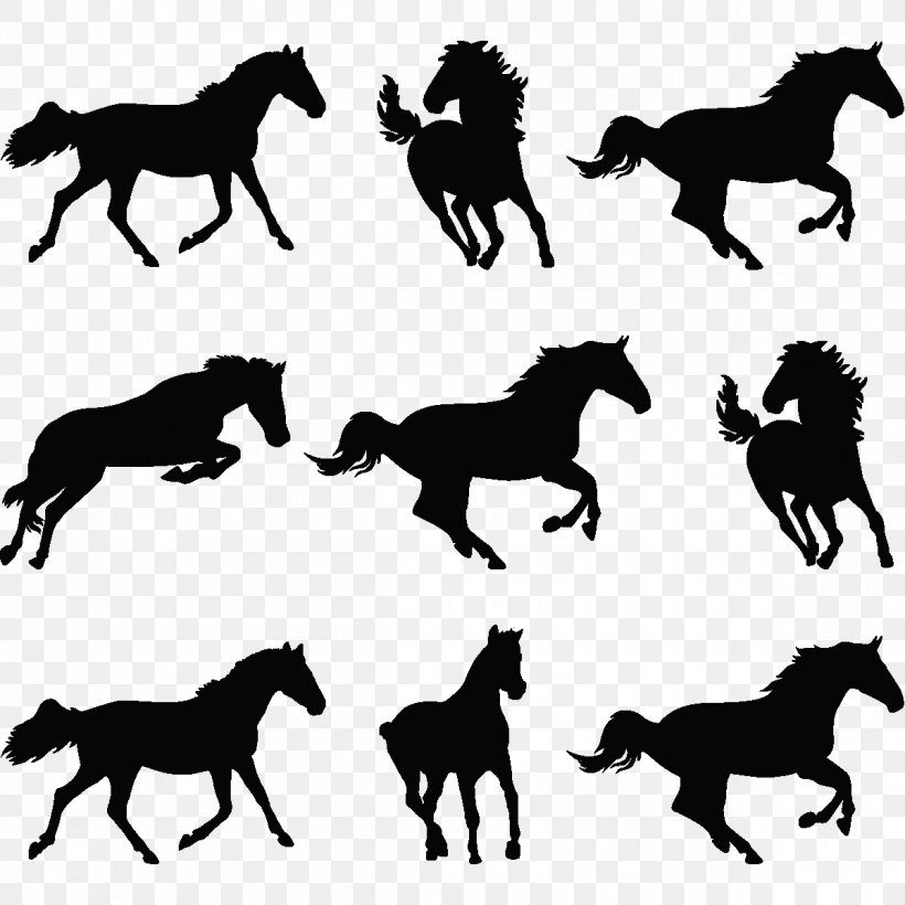 Wild Horse Photography Vector Graphics, PNG, 1200x1200px, Horse, Banco De Imagens, Black And White, Colt, Draver Download Free