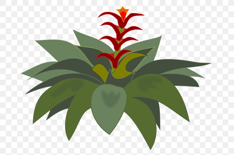 Bromelia Clip Art, PNG, 700x545px, Bromelia, Bromeliads, Flower, Flowering Plant, Flowerpot Download Free