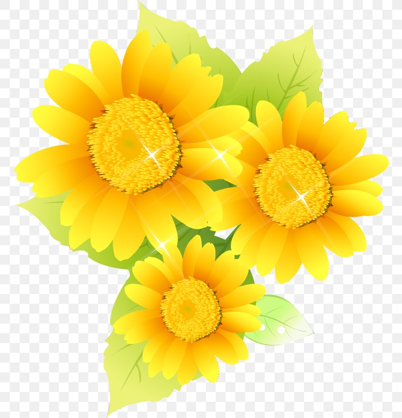 Common Sunflower Illustration Image Photography Design, PNG, 766x853px, Common Sunflower, Animal, Annual Plant, Calendula, Chrysanths Download Free