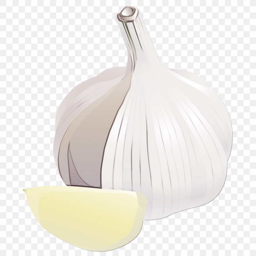 Onion, PNG, 900x900px, Watercolor, Onion, Paint, Wet Ink Download Free