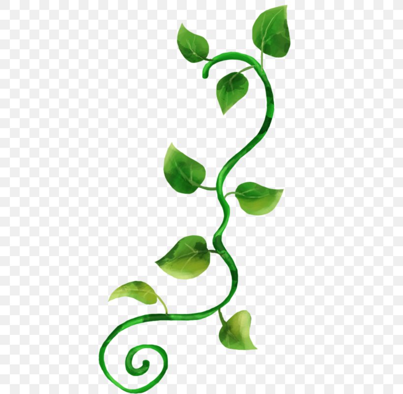 Product Design Clip Art Green Plant Stem, PNG, 423x800px, Green, Branch, Branching, Flora, Flower Download Free