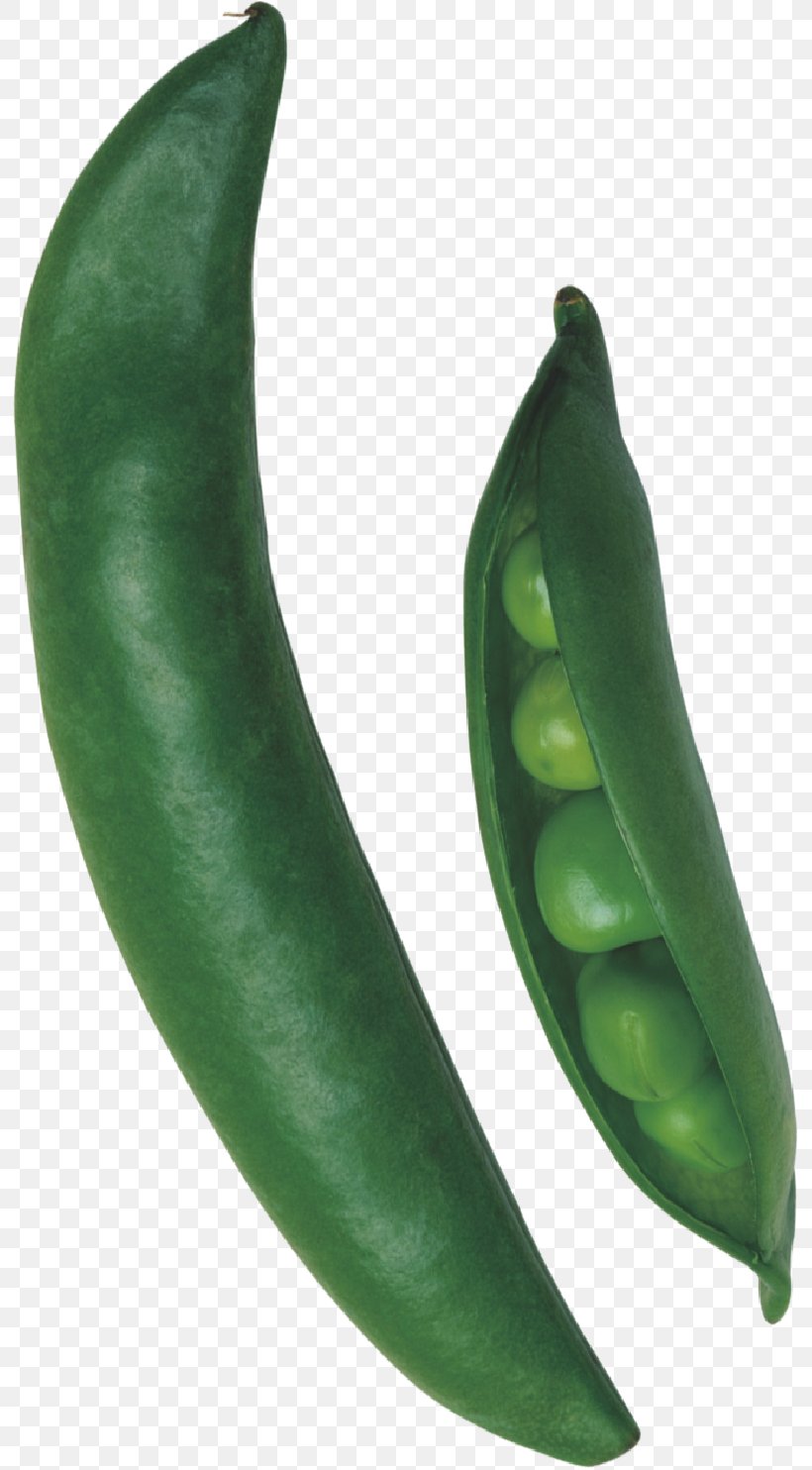 Serrano Pepper Pea Jalapexf1o, PNG, 793x1484px, Serrano Pepper, Bean, Bell Peppers And Chili Peppers, Broad Bean, Capsicum Annuum Download Free