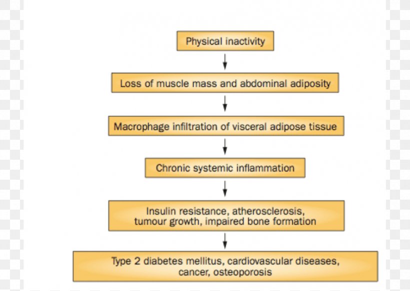 Diabetes Mellitus Type 2 Exercise Cardiovascular Disease Obesity, PNG, 886x630px, Diabetes Mellitus Type 2, Area, Blood Sugar, Brand, Cardiovascular Disease Download Free