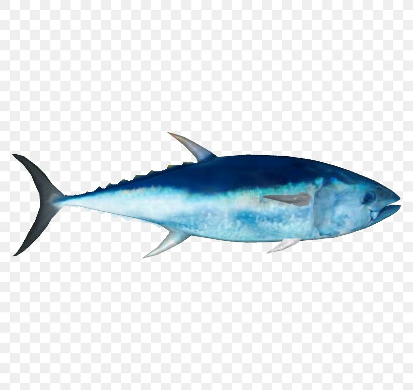 Fish Cartoon, PNG, 774x774px, Swordfish, Albacore Fish, Atlantic Bluefin Tuna, Atlantic Spanish Mackerel, Bigeye Tuna Download Free