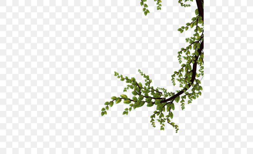 Twig Branch Tree Leaf, PNG, 500x500px, Twig, Bonsai, Branch, Flower, Flowering Plant Download Free