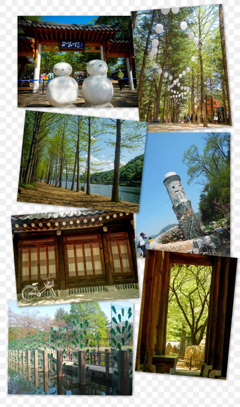 Collage, PNG, 835x1417px, Collage, Facade, Home, Outdoor Structure, Tree Download Free