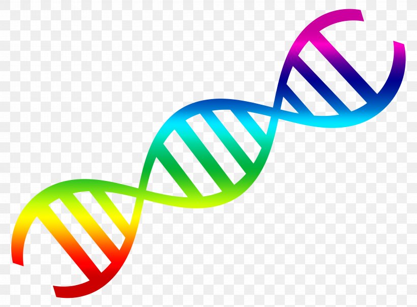 DNA Nucleic Acid Double Helix Clip Art, PNG, 4750x3500px, Dna, Area, Color, Diagram, Dna Replication Download Free