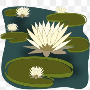 Water Lily Pond Images Water Lily Pond Transparent Png Free Download