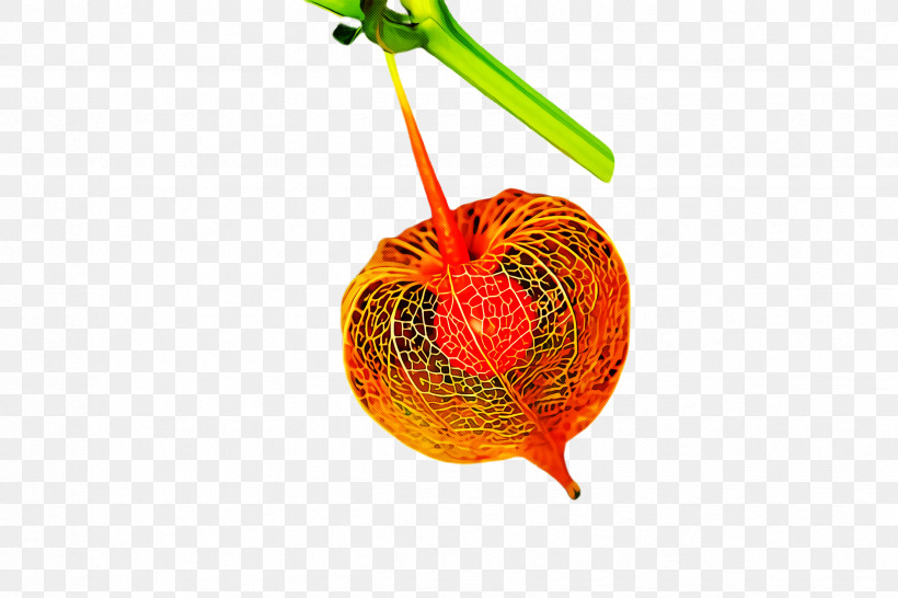 Orange, PNG, 2448x1632px, Orange, Accessory Fruit, Anthurium, Flower, Food Download Free