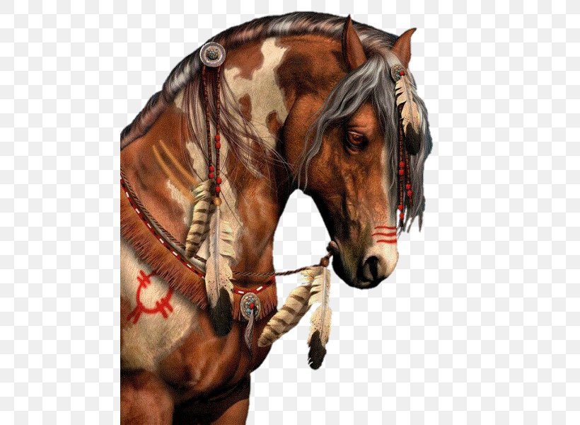 American Paint Horse American Indian Horse American Indian Wars Mustang Pony, PNG, 480x600px, American Paint Horse, American Indian Horse, American Indian Wars, Art, Bridle Download Free
