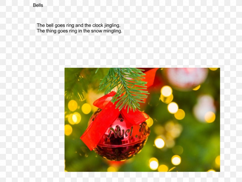 Christmas Ornament Christmas Decoration Organism Fruit, PNG, 960x720px, Christmas Ornament, Christmas, Christmas Decoration, Flora, Fruit Download Free