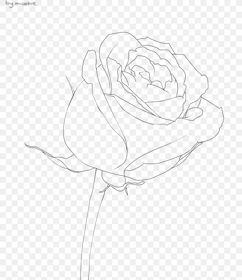 Garden Roses Floral Design Sketch, PNG, 784x950px, Garden Roses ...
