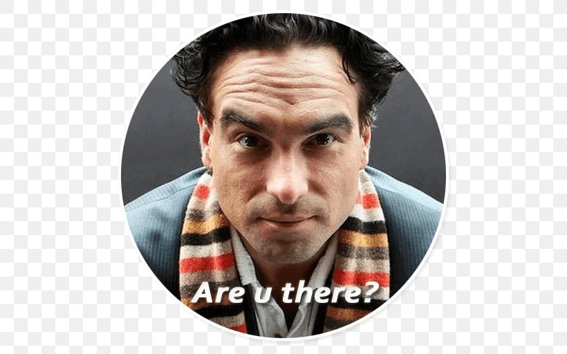 Johnny Galecki The Big Bang Theory Stickers Sheldon Cooper, PNG, 512x512px, Johnny Galecki, Big Bang Theory, Forehead, Ring, Rings Download Free