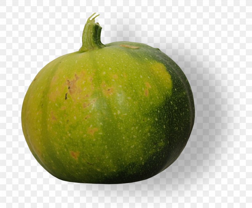 Melon Cucurbita Food Gourd, PNG, 2600x2149px, Melon, Apple, Cucumber, Cucumber Gourd And Melon Family, Cucurbita Download Free